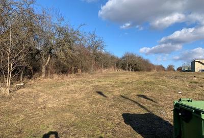 Teren de vanzare in Faget zona Wonderland - 1