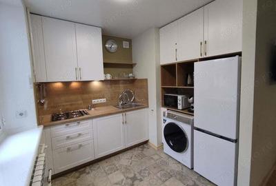 Garsoniera de inchiriat in zona Zizin - 1