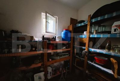 Casa renovabila, teren 4400 mp, Tureni - 14