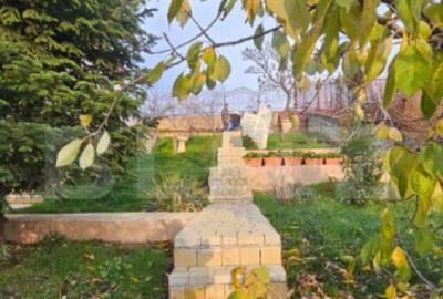 Casa individuala, 538 mp, zona Bucium - 29