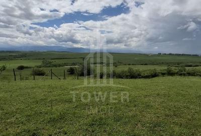 De vanzare, teren 11.500 mp – Dealul Dăii,  Vedere panoramică spre munți și lac - 8