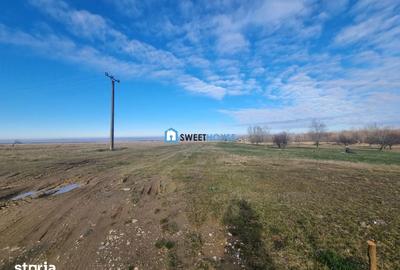 Teren de 22790 mp, în Recea - 2