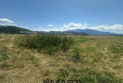 Teren de 7500 mp, în Râșnov