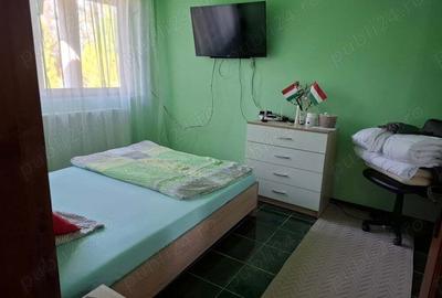 Casa cu lac in comuna Acas jud Saru Mare - 8