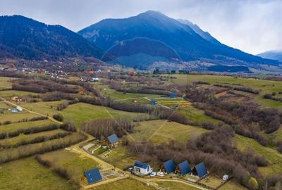 Teren Construcții intravilan de 480 mp, în Tohănița - 1