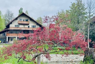 Casă cu 4 camere în Predeluț - 7