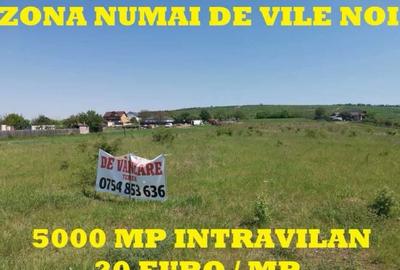 Bucium, 5000 mp teren intravilan, perfect plan, 6 km din Ia?i! - 4