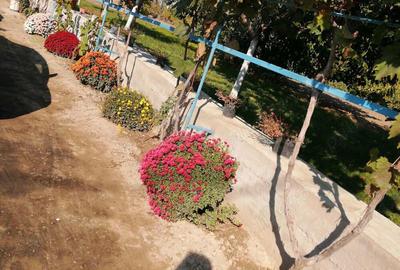 Casa la tara cu gradina - 2