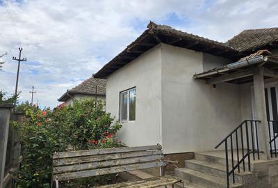 Casă cu 4 camere cu Teren 800 Mp în Băilești - 2