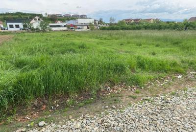 Teren intravilan, 1250 mp, Sura Mare - 1