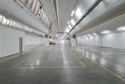 Inchiriere spatii productie, depozitare - 229,50 mp Inchiriere spatii productie, depozitare - 229,50 mp - 5