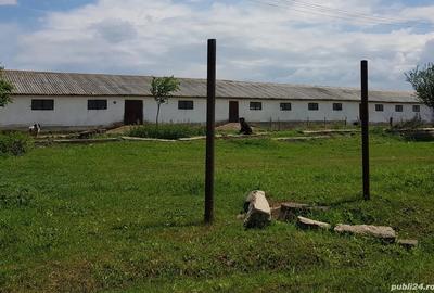 Hala Depozit de inchiriat - 2