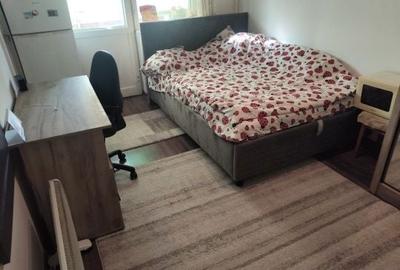 Garsonieră decomandată în Jigodin-Băi - 3