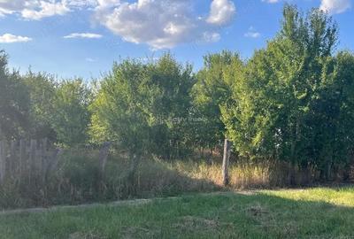 Teren de 1060 mp, în Darova - 2