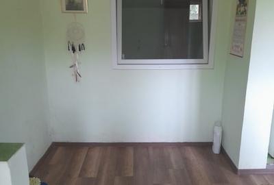 Vand casa la Tara Vand casa la Tara - 5