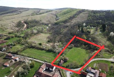 Teren de 3215 mp, în Vărădia de Mureș - 3