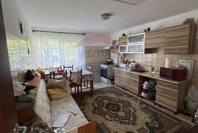 Casa de vanzare Fierbinti-Targ - 3