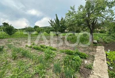 Casa individuala Comision 0% teren 800 mp 3 camere anexe Rusi Sibiu - 8