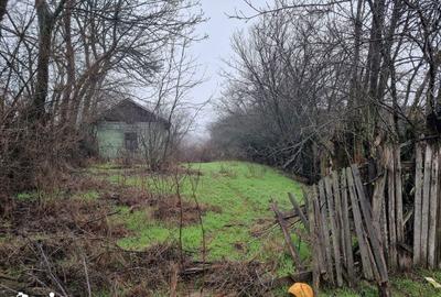 Casă cu 2 camere cu Teren 775 Mp în Dragodana - 6