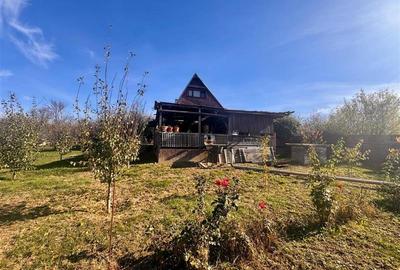 Casă individuală cu 3 camere cu Teren 4000 Mp în Bârnova - 3