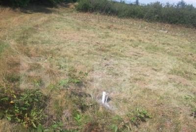 Teren extravilan 3300 mp, Car?i?oara- Set - 12