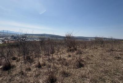 Teren Construcții intravilan de 5800 mp, în Crișeni - 4