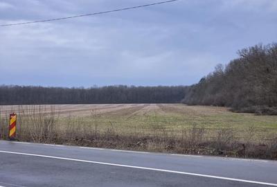 Casă cu 3 camere în Bălteni - 1