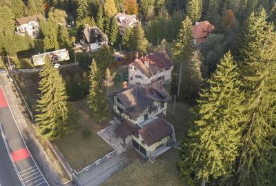 Proprietate cu potențial uriaș – Timișul de Sus – Brașov - 3