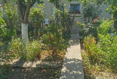 Casa locuibila,  din caramida, gaze,teren 360 mp cu deschidere 18, Palas - 11