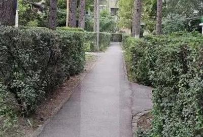 Apartament 2 camere, 32 mp, parter, cartier Simeria Sfantu Gheorghe - 3