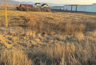 Spațiu comercial, în Buhoci - 12