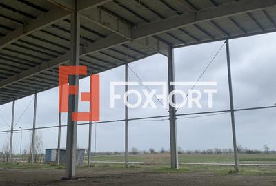 COMISION 0% Hala industriala 5500 mp utili zona de Nord Timisoara - ID V5143 - 2
