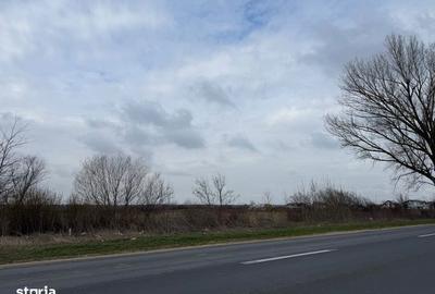 Teren de 33000 mp, în Crevedia - 3