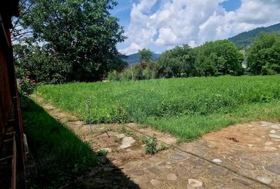 Teren intravilan 1000 mp Vii?oara, utilita?i - 9