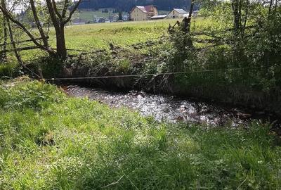 Teren de 5000 mp, în Dorna-Arini - 5