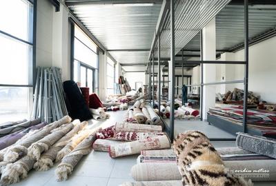 Showroom, birouri si depozit - 8