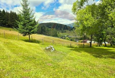 Teren de vis in Fundata 1934mp sau 3868mp, la inal?imea sufletului tau - 12