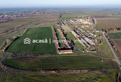 Teren Construcții extravilan de 11467 mp, în Exterior Vest - 2