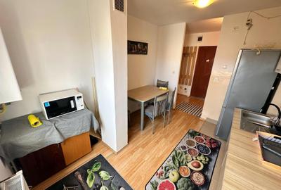 Apartament cu 2 camere decomandat, mobilat în Zorilor - 9