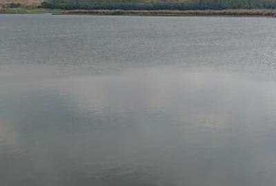 Teren extravilan de 10000 mp, în Gurbănești - 1