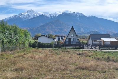 Teren 1000mp cu PUZ in Rasnov, Glajerie - 8