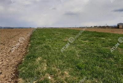 Teren de 1400 mp, în Central - 5
