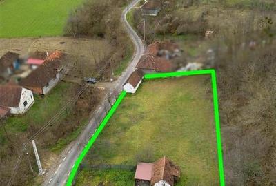 RECO Casa de vacanta la Holod- langa padure- teren 2190mp - 4