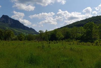 Teren intravilan, in Rimetea, suprafete intre 1000 - 10000 mp - 2