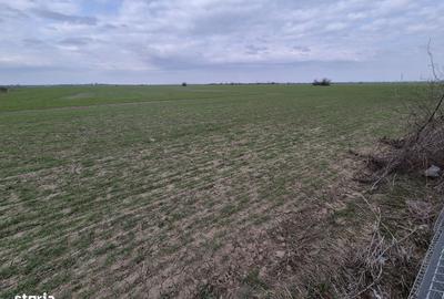 Teren de 13852 mp, în Domnești