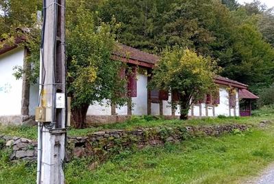 Casa de vacanta Crivaia, langa Valiug -locatie idilica, ideala pentru timp liber - 2