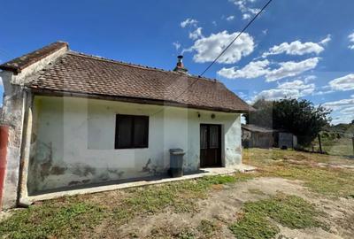 Casă cu 5 camere cu Teren 1909 Mp în Șag - 3