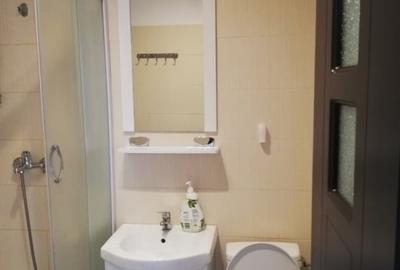 Apartament cu 1 camera - zona Nicolina - Lidl - 2