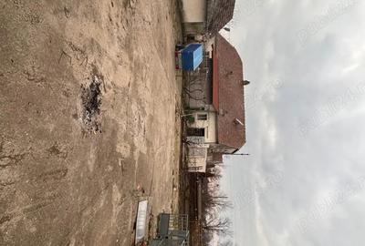 Casă în Checea - 5