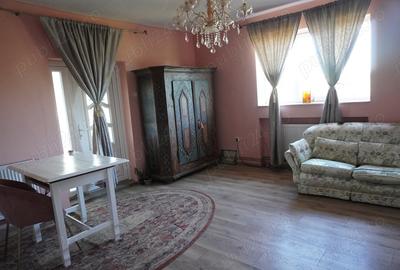 Casa cu cel mai frumos teren de 3800 m din Tataresti jud. Satu Mare - 4